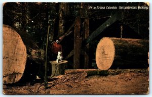 Postcard c1912 Life In British Columbia The Lumbermans Workshop Dog on Stump