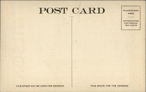 Salt Lake City UT THE NEW WILSON Hotel Promo Poster Art c1920s Postcard