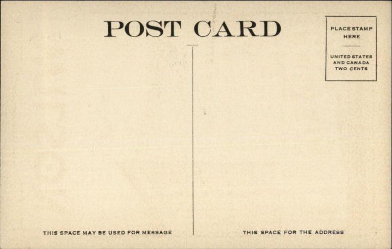 Salt Lake City UT THE NEW WILSON Hotel Promo Poster Art c1920s Postcard