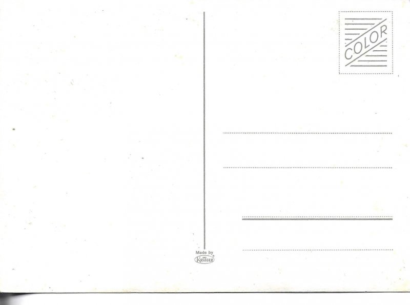 Horse grazing  Modern German photo postcard