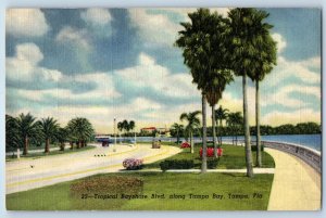 1950 Tampa Florida Postal Tropical Bayshore Boulevard Bay Waterfront Drive-