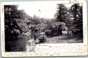 Scene in Central Park  (36-892)