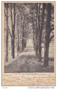 The Walk To The Lake, Mt. Holyoke College, South Hadley, Massachusetts, PU-1905