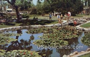 Water Lily Pond in the Park - Anaheim, California CA  