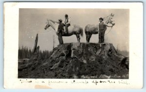 RPPC CRESCENT CITY, CA  Redwood Stump HORSES, MEN Del Norte County 1912 Postcard