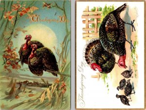 2~Raphael Tuck Holiday Postcards THANKSGIVING DAY  Turkey & Chicks  EMBOSSED