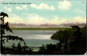 Olympic Mountains from Puget Sound c1909 Vintage Postcard K38