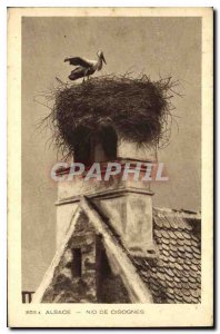Old Postcard Alsace Storks Nest