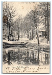 1906 Crumps Park Bridge Trees Scene Macon Georgia GA Posted Vintage Postcard