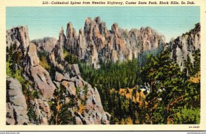 South Dakota Black Hills Custer State Park Cathedral Spires From Needles High...