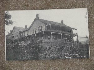 The Cherry Hill Farm Napanoch, N.Y., unused vintage card