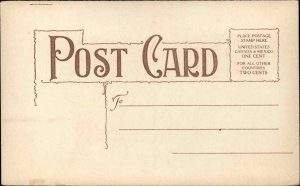 Vinegar Valentine Woman Sells Expensive Hats Gouges Customers Postcard