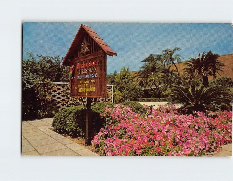 Postcard Flowers And Palms At Busch Gardens, Tampa, Florida