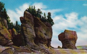 Canada Moncton Rock Formation At Hopewell Cape