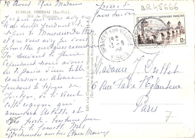 BR48666 Obernai nid de cigognes stoke birds oisssans      France