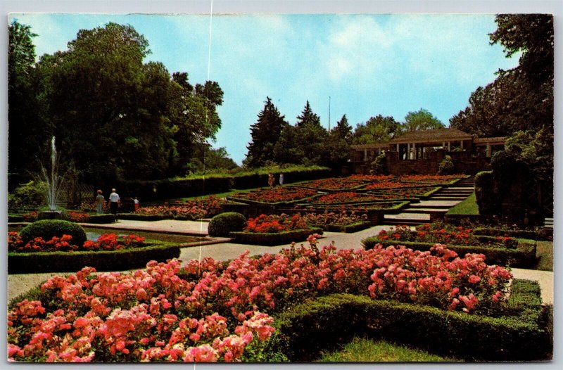 Vtg Fort Worth Texas TX Botanical Gardens Flowers Roses Floral Postcard