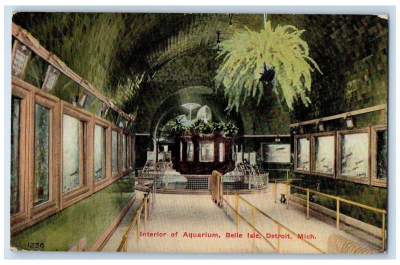 1910 Interior Of Aquarium Fish Scene Belle Isle Detroit MI Posted Postcard 