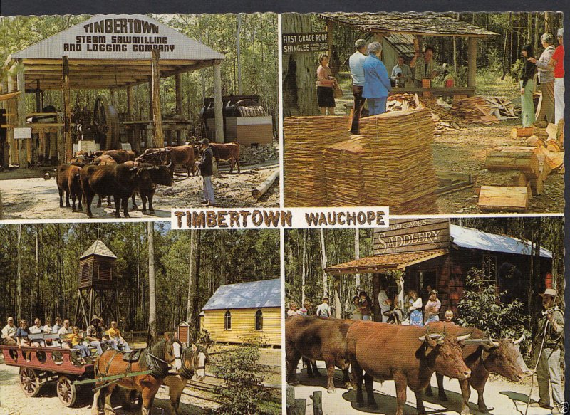 Australia Postcard - Timbertown, Wauchope, New South Wales  WC95