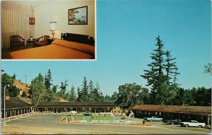 Willits CA Ridgewood Park Motel California Pool Vintage Postcard H35