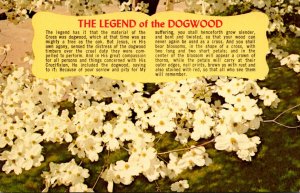 Trees The Legend Of The Dogwood