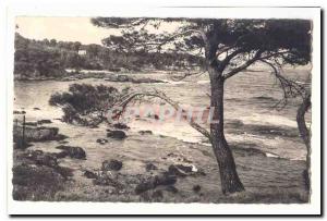 Saint Augulf Postcard Modern Seaside