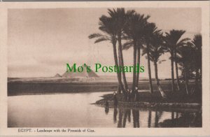 Egypt Postcard - Landscape With The Pyramids of Giza   RS34261