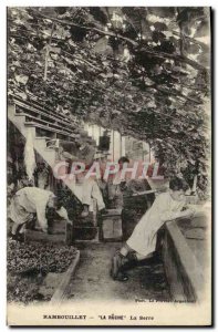 Old Postcard Rambouillet The Hive The greenhouse Children TOP