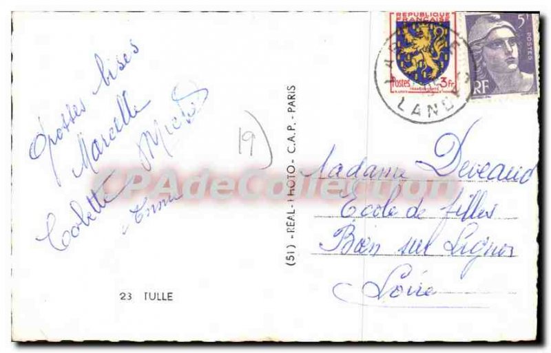 Old Postcard Tulle