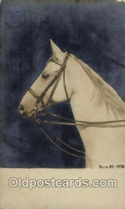 Horse 1906 minimal corner wear