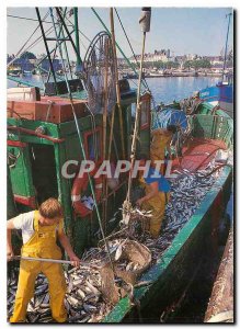 Postcard Modern Brittany color Concarneau (Finistere) return fishing sardine ...