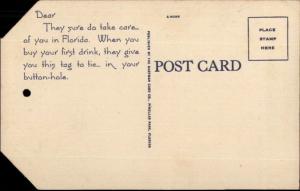 Before You Get Drunk Comic Novelty Alcoholism Florida Linen Postcard