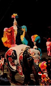 Circus Ringling Brothers Barnum & Bailey Dressed Elephant and Gorgeous Showgirl