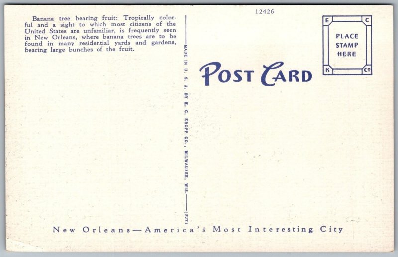 Postcard New Orleans Louisiana LA Banana Tree Flowers 1930s Linen Vtg