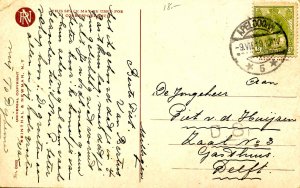 A Ripening Bud. Artist: Harrison Fisher