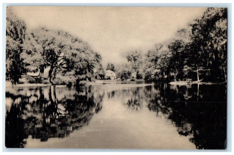 Lake Showing Rice Mill Middleton Place Gardens Charleston SC Vintage Postcard