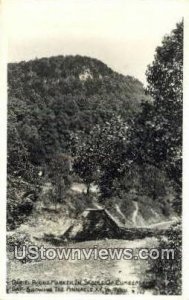 Daniel Boone Marker, Real Photo - Pinnacle, KY