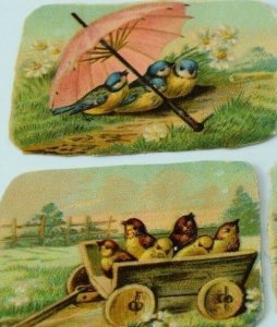 Lot Of Victorian Die-Cuts Winter Wild-Birds In Shell Shoe-Boat Cart Snow CT189