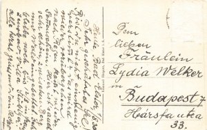 B196 Germany Bad Elster Rosengarten Roses Garden vintage postcard