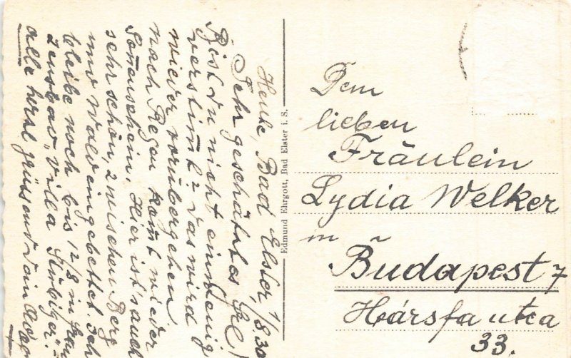 B196 Germany Bad Elster Rosengarten Roses Garden vintage postcard