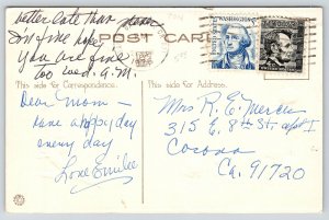 Gene Carr Easter~Orange Lavender Fashion Gal~5 Chicks~Eggs~Embossed~c1913