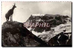Postcard Old Chamois in Alpe