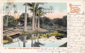 Moanalua in Suburbs of Honolulu Hawaii 1906 Private Mailing Card postcard