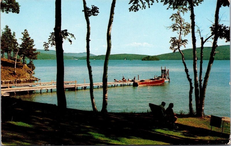 Vtg Lake George New York NY Hotel Antlers Lake View Postcard