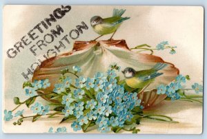 Houghton Michigan MI Postcard Greetings Flowers Shell Birds Glitter 1910 Vintage