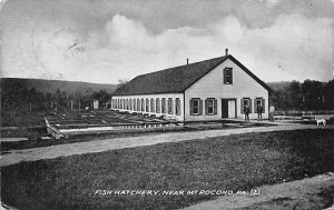 Fish Hatchery Mt Pocono, Pennsylvania PA  