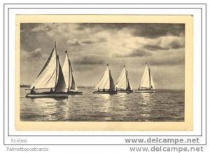 BALATONROL, Hungary, PU 1920-40s, Sailboat race