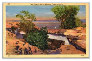 Natural Bridge Petrified Forest National Monument Arizona UNP Linen Postcard Y13