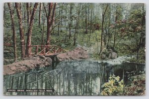 State View~Middlesex Fells Reservation MA~Rustic Lovers Bridge~1913 Postcard