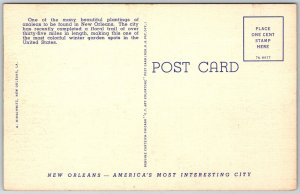 New Orleans Louisiana 1940s Linen Postcard Azaleas In Bloom City Park