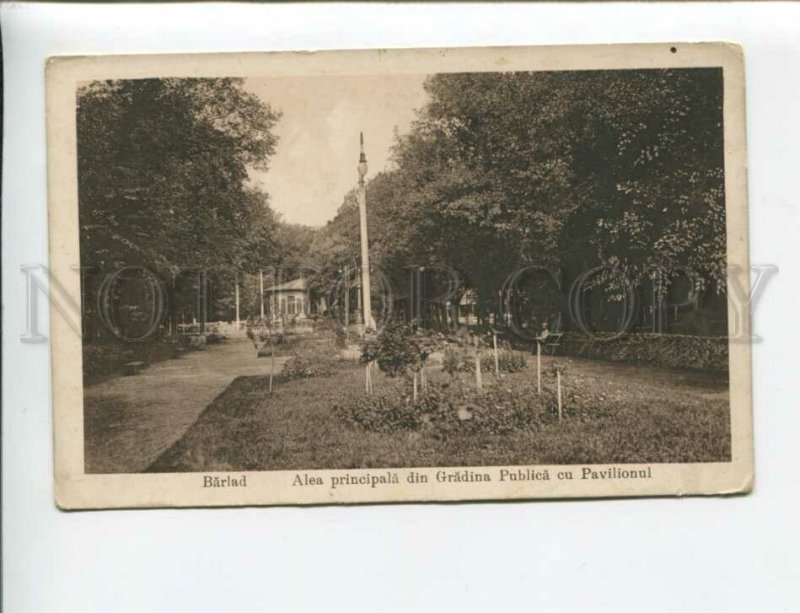 3172203 ROMANIA BERLAD Alea principala Vintage postcard